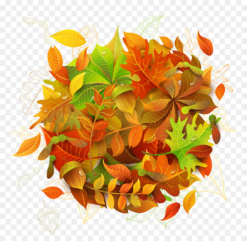 Autumn Leaves Leaf Maple - autumn leaves 