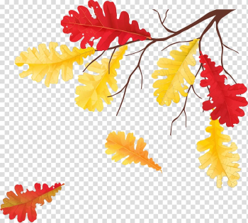 Autumn Leaves Leaf Tree , autumn leaves transparent background PNG clipart