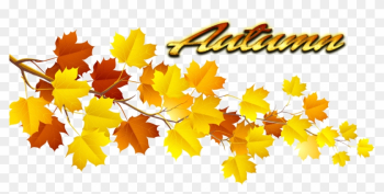 Autumn Leaves Png Pic - Autumn Leaf Png Autumn Leaves Png Pic - Autumn Leaf Png