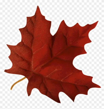 Autumn Leaves Religious Clipart - Fall Leaf Gif Transparent Autumn Leaves Religious Clipart - Fall Leaf Gif Transparent