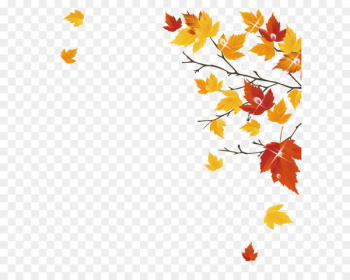 Autumn Maple Leaf Autumn Maple Leaf