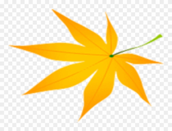 Autumn Maple Leaf - Autumn Maple Leaf Autumn Maple Leaf - Autumn Maple Leaf