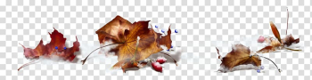 Autumn Maple leaf , autumn transparent background PNG clipart Autumn Maple leaf , autumn transparent background PNG clipart