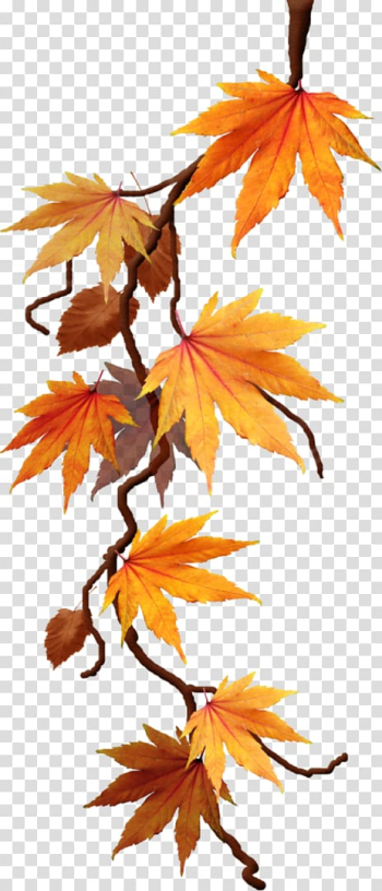 Autumn Maple leaf Portable Network Graphics, autumn transparent background PNG clipart