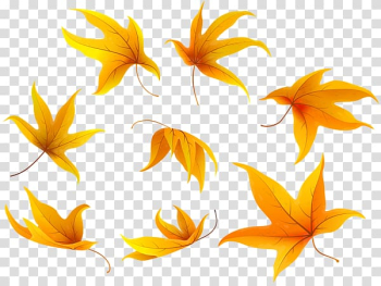 Autumn , others transparent background PNG clipart