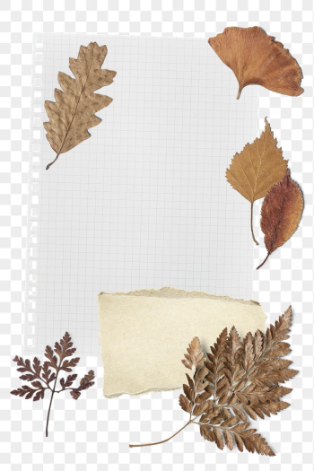 Autumn paper note png journal | Free PNG - rawpixel