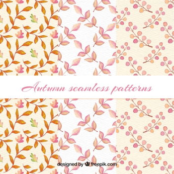 Autumn pattern background Autumn pattern background