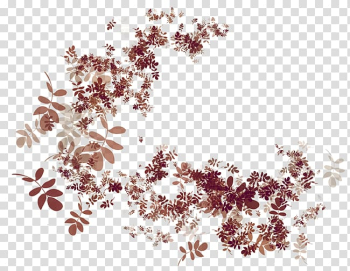 Autumn Petal Flower , autumn background transparent background PNG clipart Autumn Petal Flower , autumn background transparent background PNG clipart