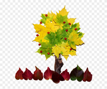Autumn Png 26, Buy Clip Art - Collage Tree Art Autumn Png 26, Buy Clip Art - Collage Tree Art