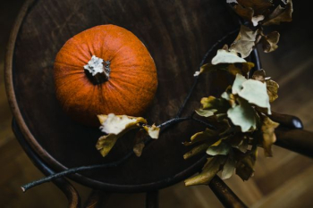 Autumn Pumpkin Autumn Pumpkin