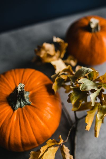 Autumn Pumpkin Autumn Pumpkin