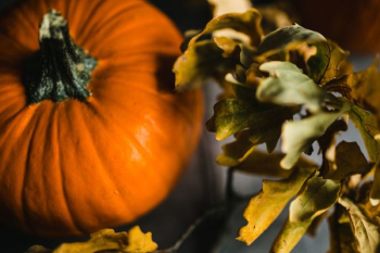 Autumn Pumpkin Autumn Pumpkin
