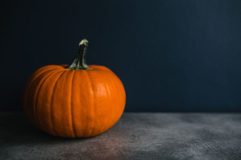 Autumn Pumpkin Autumn Pumpkin