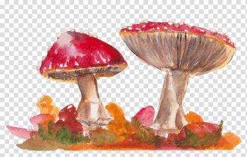 Autumn Pumpkin pie Watercolor painting , autumn transparent background PNG clipart Autumn Pumpkin pie Watercolor painting , autumn transparent background PNG clipart