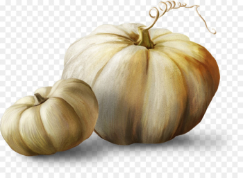 Autumn Pumpkin u042fu043du0434u0435u043au0441.u0424u043eu0442u043au0438 Clip art - White pumpkin 
