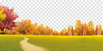 Autumn scenery transparent background PNG clipart