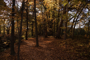 Autumn Season Autumn Season