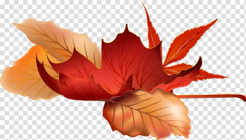 Autumn Season Graphics Design, autumn transparent background PNG clipart Autumn Season Graphics Design, autumn transparent background PNG clipart
