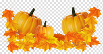 Autumn swatches, orange pumpkins transparent background PNG clipart Autumn swatches, orange pumpkins transparent background PNG clipart