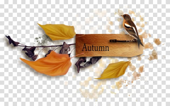 Autumn transparent background PNG clipart