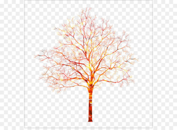 Autumn Tree Autumn Tree