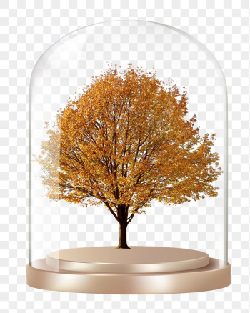 Autumn tree png glass dome | Free PNG - rawpixel