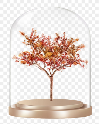 Autumn tree png glass dome | Free PNG - rawpixel