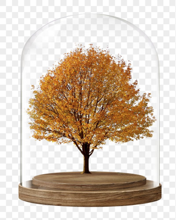 Autumn tree png glass dome | Free PNG - rawpixel