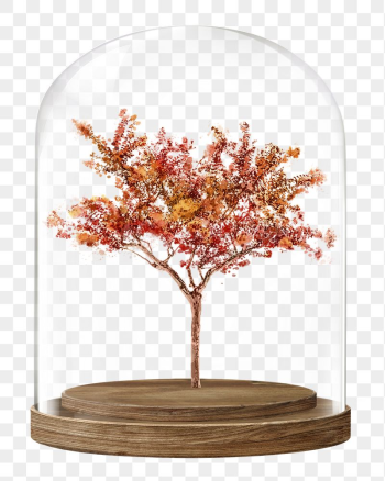 Autumn tree png glass dome | Free PNG - rawpixel