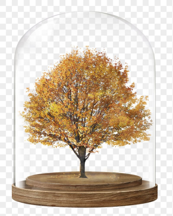 Autumn tree png glass dome | Free PNG - rawpixel