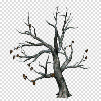 Autumn trees transparent background PNG clipart Autumn trees transparent background PNG clipart