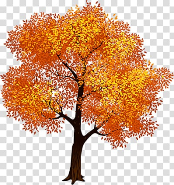 Autumn trees transparent background PNG clipart Autumn trees transparent background PNG clipart