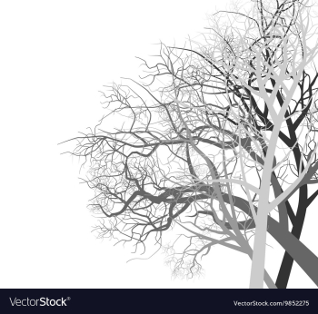 Autumn trees vector image Autumn trees vector image