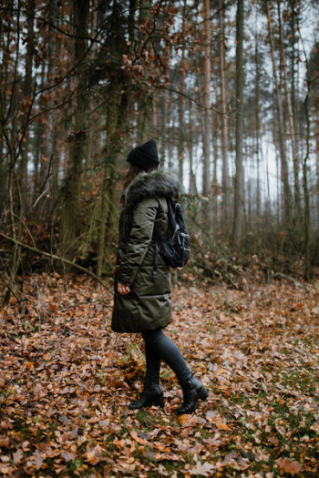 Autumn walk to the forest in foggy weather Autumn walk to the forest in foggy weather