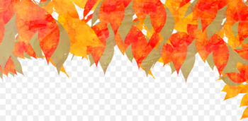 Autumn Watercolor painting Deciduous Illustration - leaf Autumn Watercolor painting Deciduous Illustration - leaf