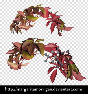 Autumn wreath, green and red leafed plant transparent background PNG clipart