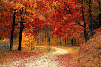 Autumnal Equinox 2019: The First Day of Fall | Facts, Folklore ...