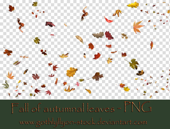 Autumnal Leaves, brown text transparent background PNG clipart