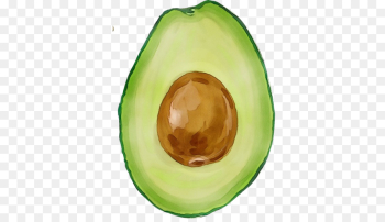 Avocado Avocado