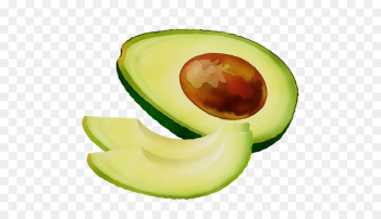 Avocado Avocado