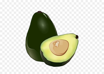 Avocado Avocado