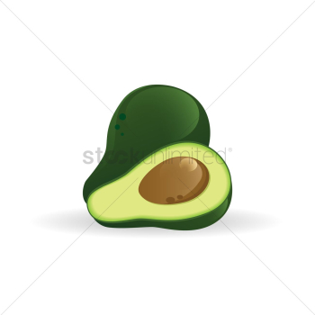 Avocado Avocado