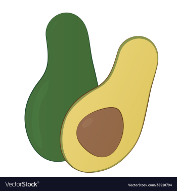 avocado avocado