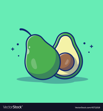 avocado and slices of avocado cartoon avocado and slices of avocado cartoon