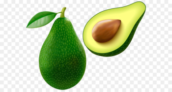 Avocado Clip art - Avocado PNG Vector Clipart Image Avocado Clip art - Avocado PNG Vector Clipart Image