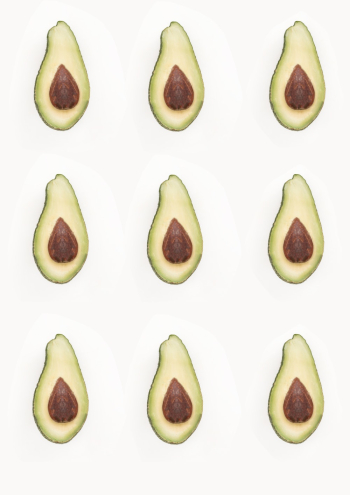 Avocado Fruit Avocado Fruit