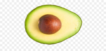 Avocado Fruit Food - Avocado Avocado Fruit Food - Avocado