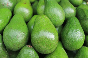 avocado fruits avocado fruits
