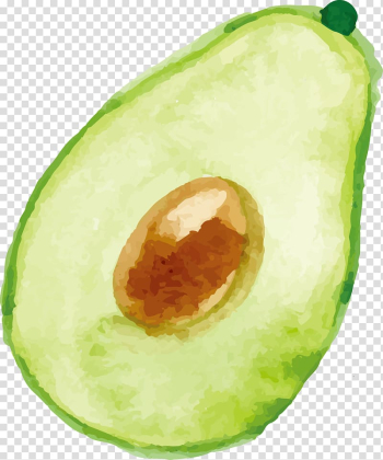 Avocado illustration, Avocado Watercolor painting, Avocado watercolor transparent background PNG clipart