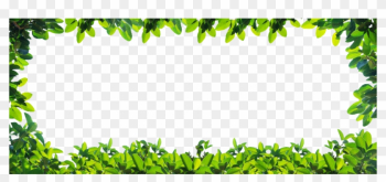 Awesome Plantborder With Plant Transparent Png - Plants Border Background